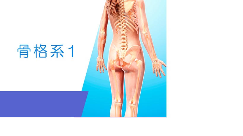 通信教育（テスト） icon